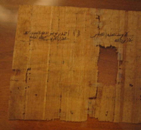 Papyrus, image 2/2