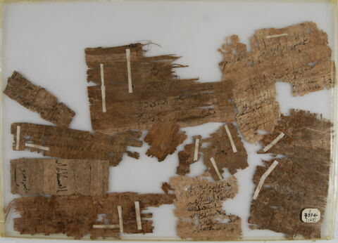 Papyrus, image 1/2