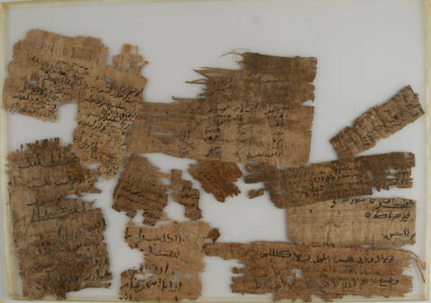 Papyrus, image 2/2