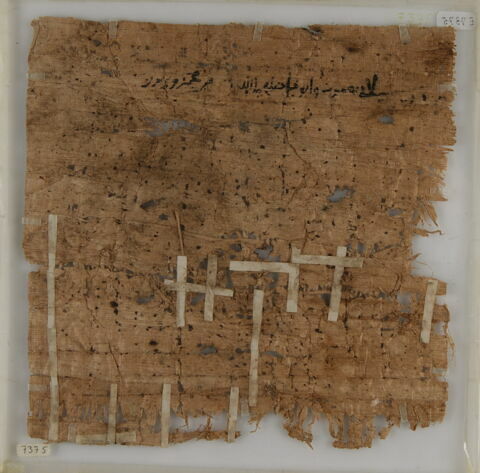 Papyrus, image 2/2