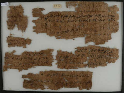 Papyrus, image 1/1