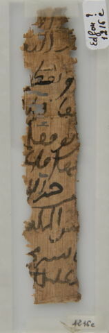 Papyrus, image 1/1