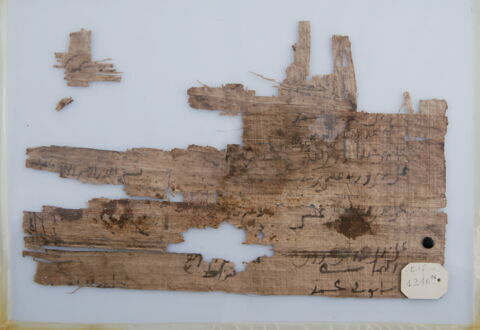 Papyrus, image 1/2