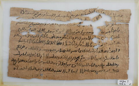 Papyrus, image 1/2