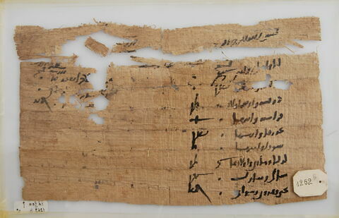 Papyrus, image 2/2
