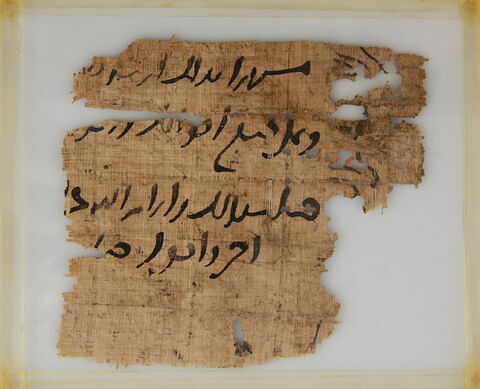 Papyrus, image 1/1