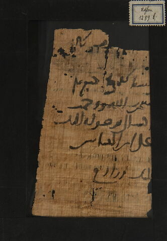Papyrus, image 1/1