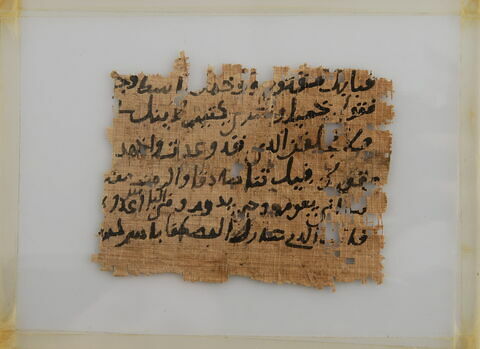 Papyrus, image 1/1