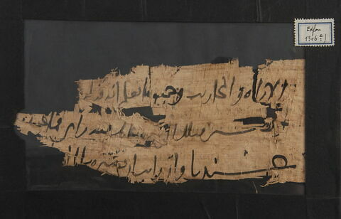 Papyrus, image 1/1