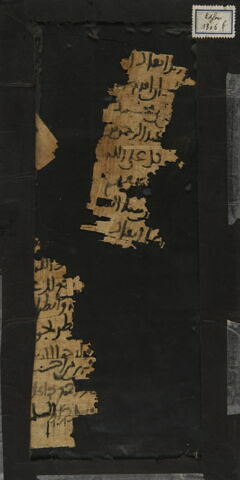 Papyrus, image 1/1