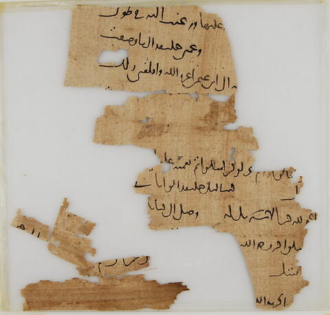 Papyrus, image 1/2