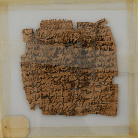 Papyrus, image 1/2