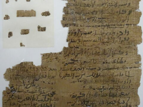 Papyrus, image 2/11