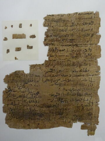 Papyrus, image 3/11