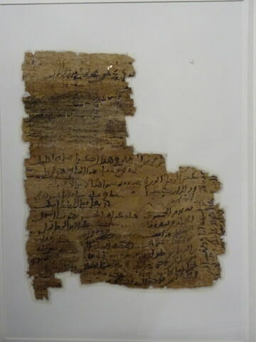 Papyrus, image 5/11