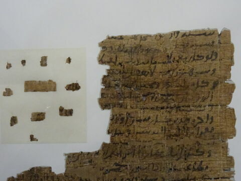 Papyrus, image 6/11