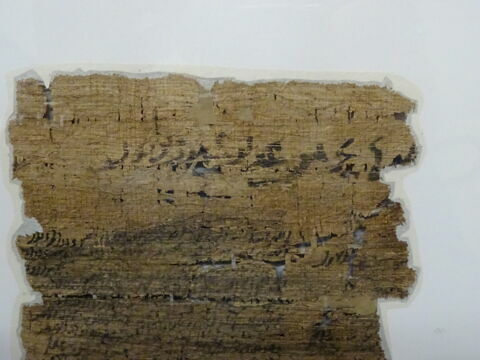 Papyrus, image 7/11