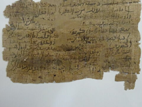 Papyrus, image 8/11