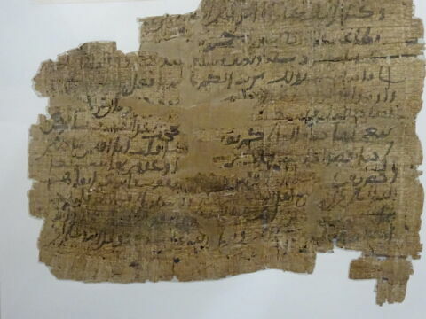 Papyrus, image 10/11