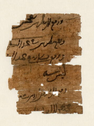 Papyrus, image 1/11