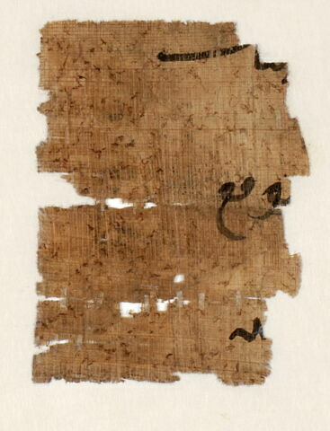 Papyrus, image 11/11