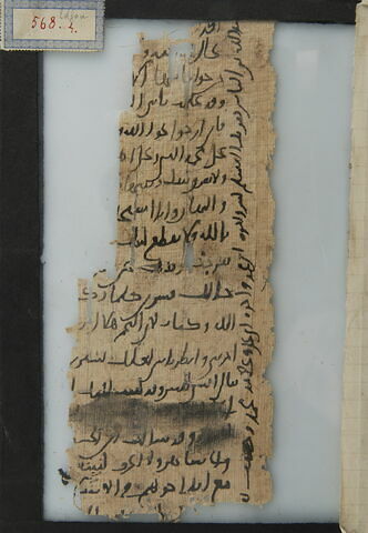 Papyrus, image 1/2
