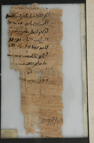 Papyrus, image 2/2