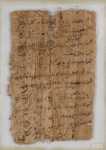 Papyrus, image 2/2