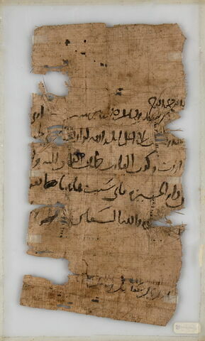 Papyrus, image 2/2