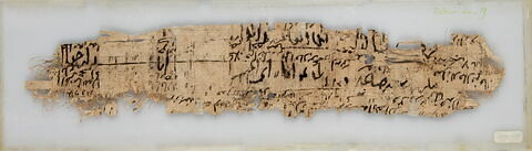 Papyrus, image 2/2