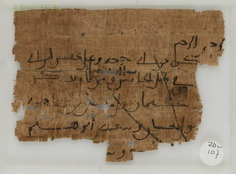 Papyrus, image 1/1