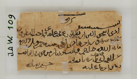Papyrus, image 1/1