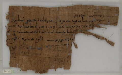 Papyrus, image 1/1