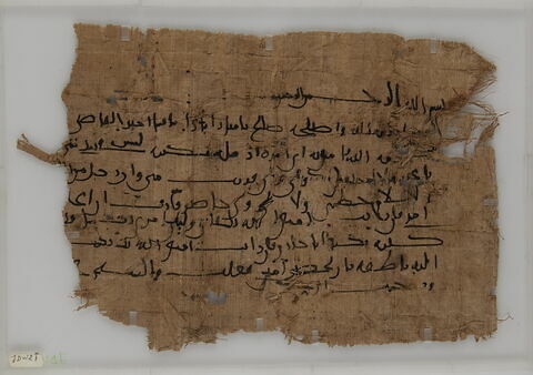 Papyrus, image 1/1