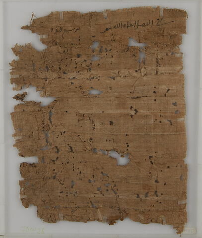 Papyrus, image 2/2