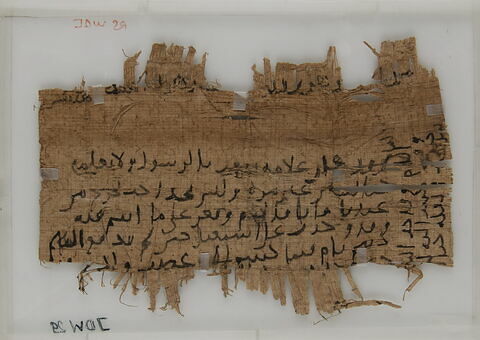 Papyrus, image 1/2