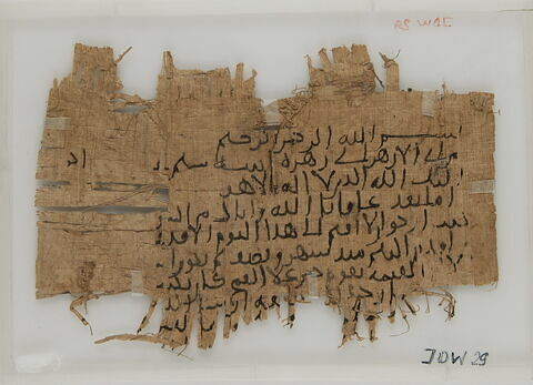 Papyrus, image 2/2