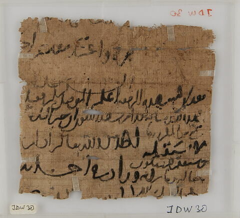 Papyrus, image 1/2