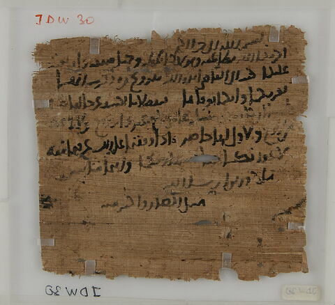 Papyrus, image 2/2