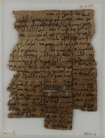 Papyrus, image 1/2
