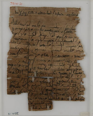 Papyrus, image 2/2