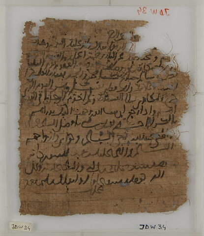 Papyrus, image 1/1