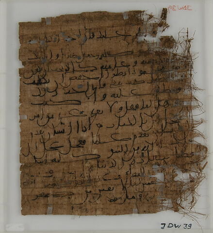 Papyrus, image 1/1