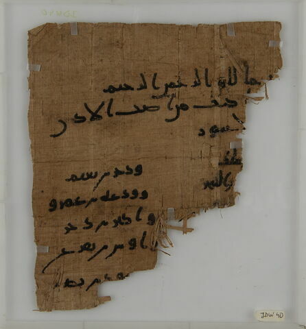 Papyrus, image 1/2