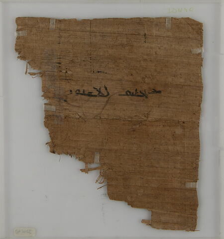 Papyrus, image 2/2