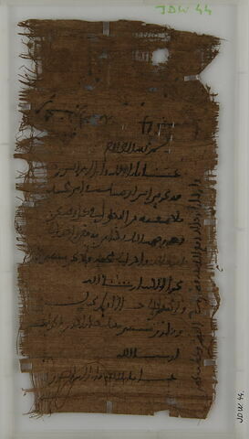Papyrus, image 1/2