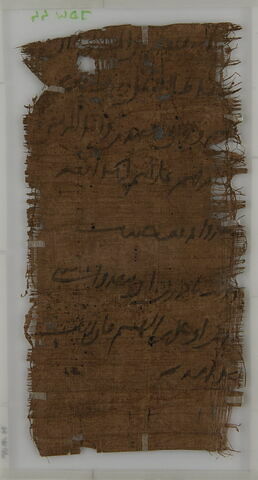 Papyrus, image 2/2