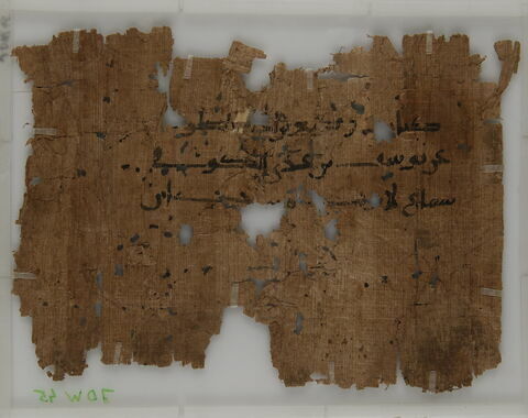 Papyrus, image 2/2