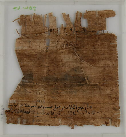 Papyrus, image 2/2