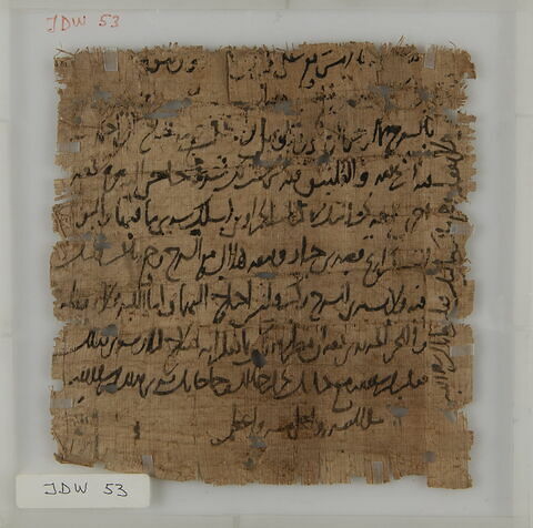 Papyrus, image 1/1
